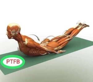 ĐAU LƯNG – VẤN ĐỀ SỨC KHỎE PHỔ BIẾN ẢNH HƯỞNG NGHIÊM TRỌNG ĐẾN CHẤT LƯỢNG CUỘC SỐNG