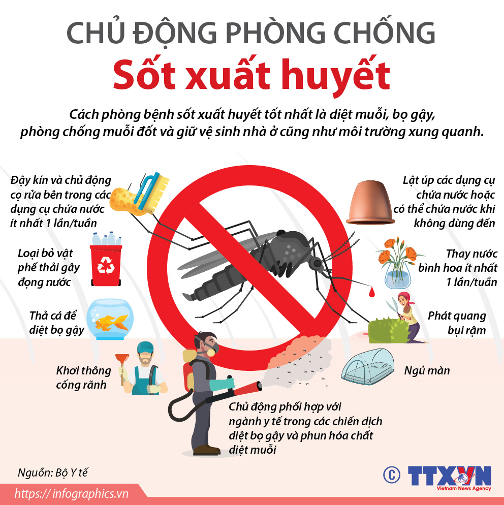SỐT XUẤT HUYẾT VÀ CÁCH PHÒNG TRÁNH - Bệnh Viện Phục Hồi Chức Năng Hà Nội